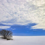 E-Bow The Blue Sky