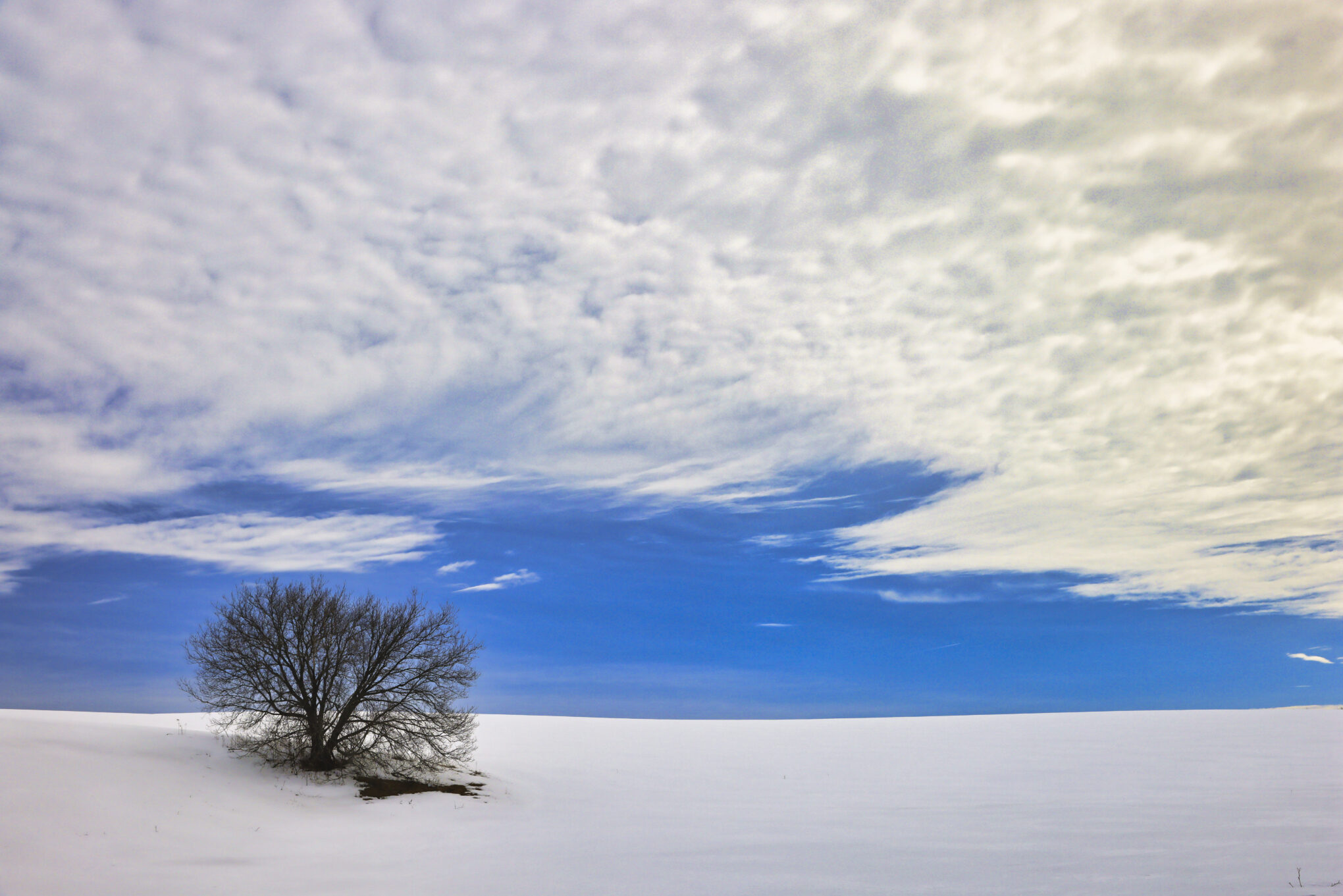 E-Bow The Blue Sky