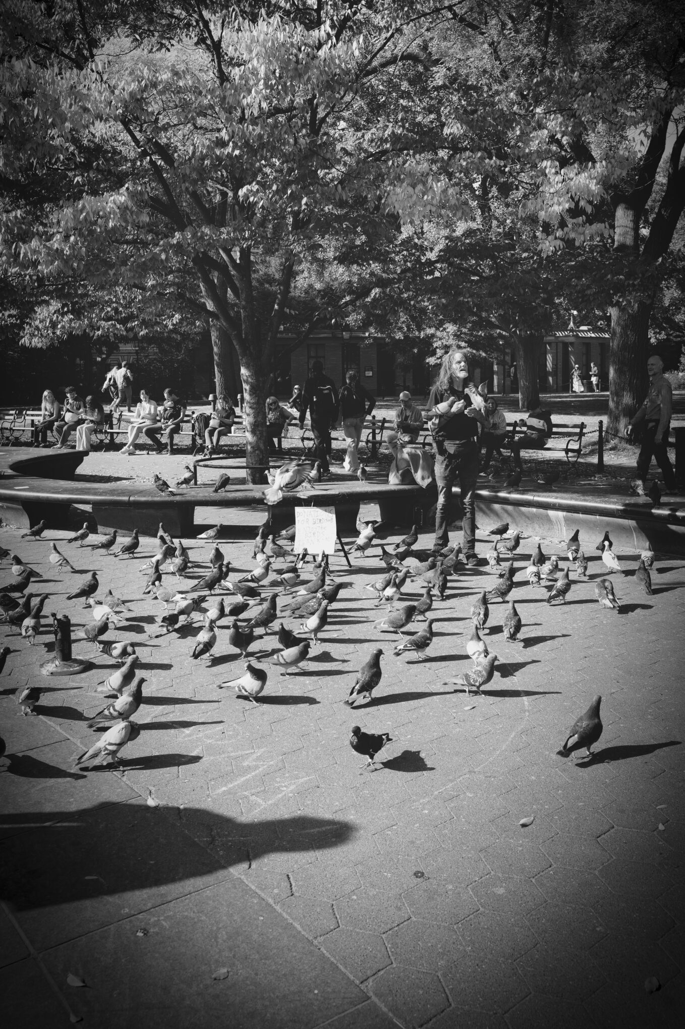 Pigeon Man