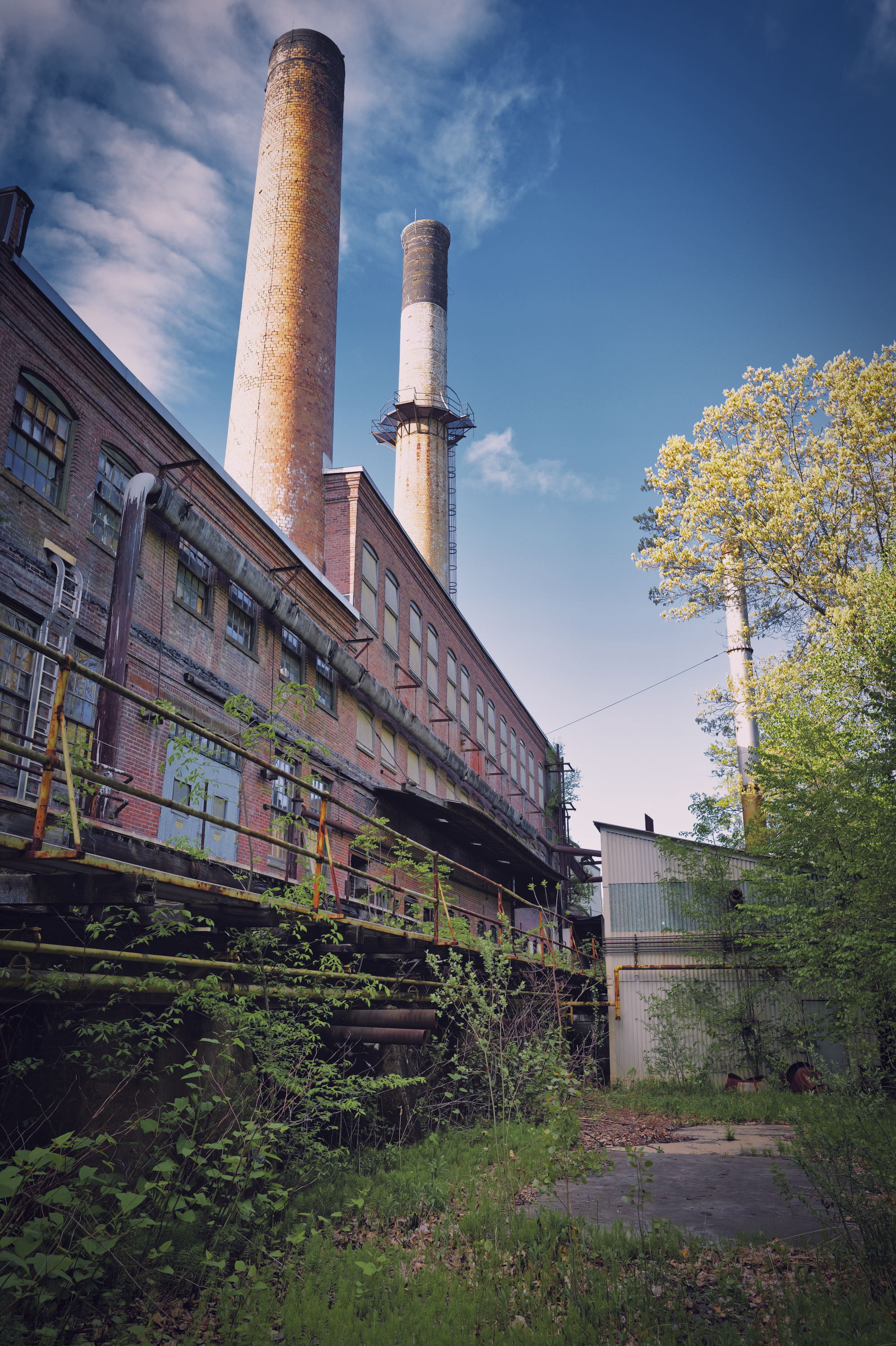 Unknown Chemical Plant