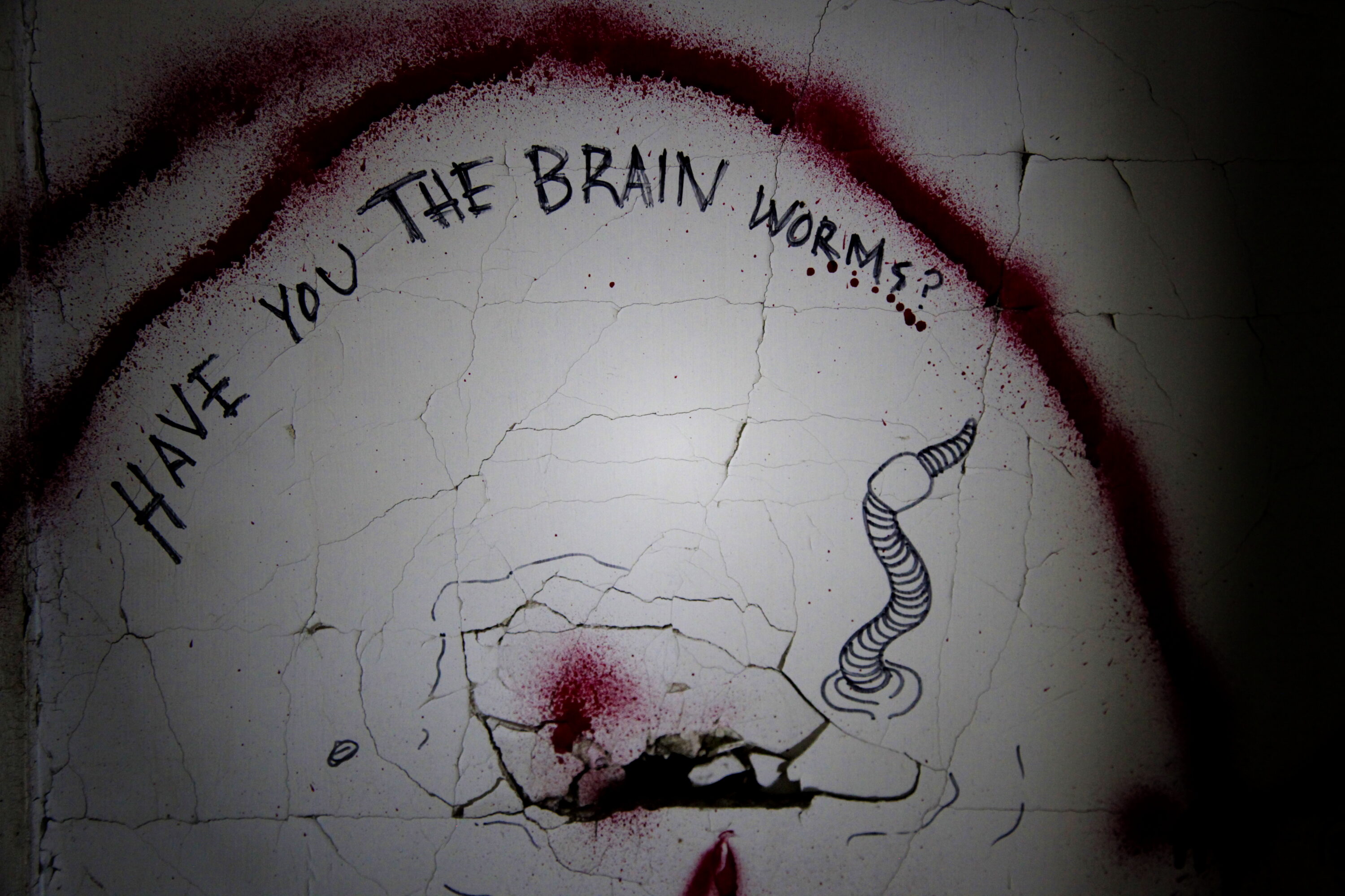 Brain Worms House