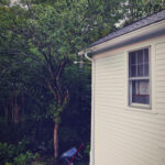 The Place I Called Home 1